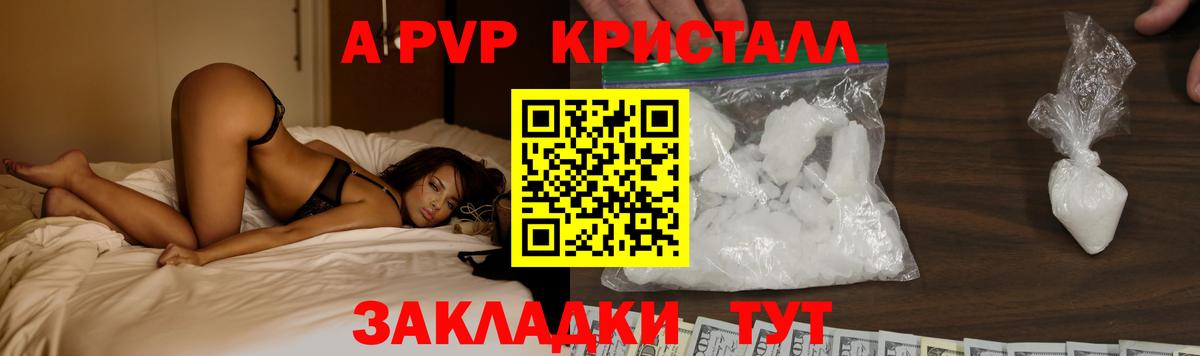 A-PVP СК Ухта