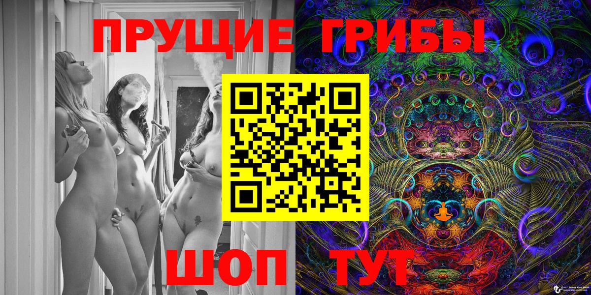 Галлюциногенные грибы Psilocybe Ухта