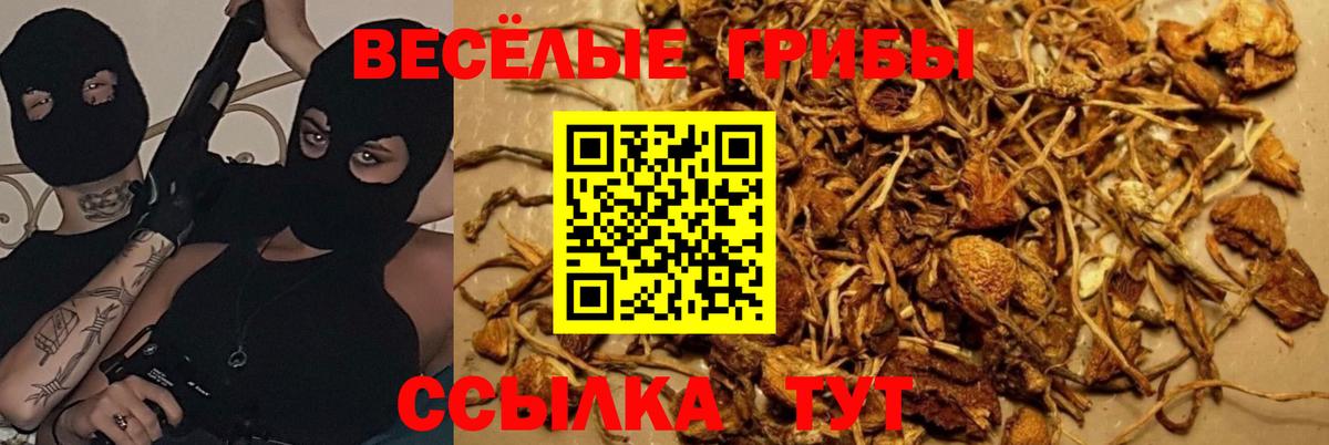 Галлюциногенные грибы мицелий  Псилоцибиновые грибы мицелий  Ухта  Вход с VPN 